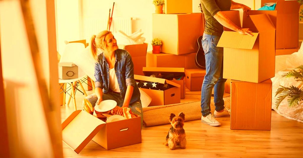 Moving With Your Pets: Tips for a Stress-Free Transition
